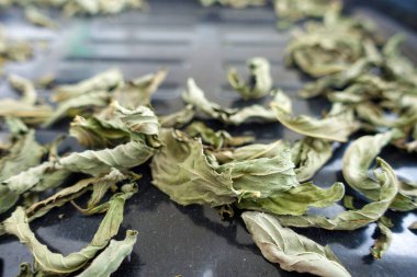 Kurutulmuş nane, kurutulmuş aromatik bitki, kurutulmuş aromatik nane, kurutulmuş bütün bir tepside.,