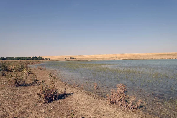 Irrigation Dam Village Has Lost Lot Water Result Drought Pond — Stock Fotó