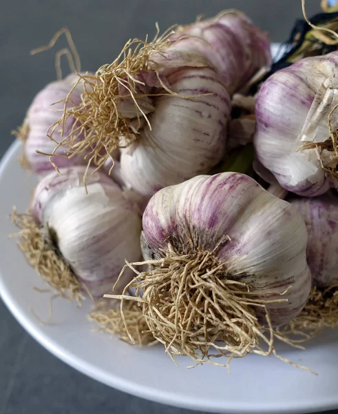 Purple Natural Garlic Close Bunch Garlic Fresh Garlic Heads — Stock Photo, Image