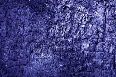 Yanmış ağaç kabuğu dokusu yakın plan. Yanmış ahşap arka plan. 2022 'nin çok peri renginde.