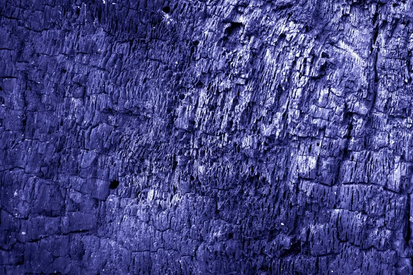 Yanmış ağaç kabuğu dokusu yakın plan. Yanmış ahşap arka plan. 2022 'nin çok peri renginde.