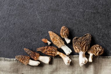 Morel mantarları siyah arkaplanda yakınlaşır. Düz Yatay