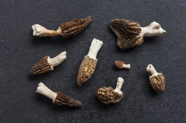 Morel mantarları siyah arkaplanda yakınlaşır. Düz Yatay