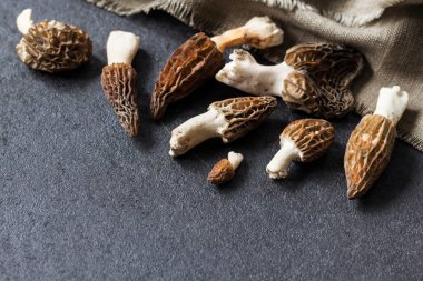 Morel mantarları siyah arkaplanda yakın plan.