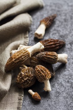 Morel mantarları siyah arkaplanda yakın plan.