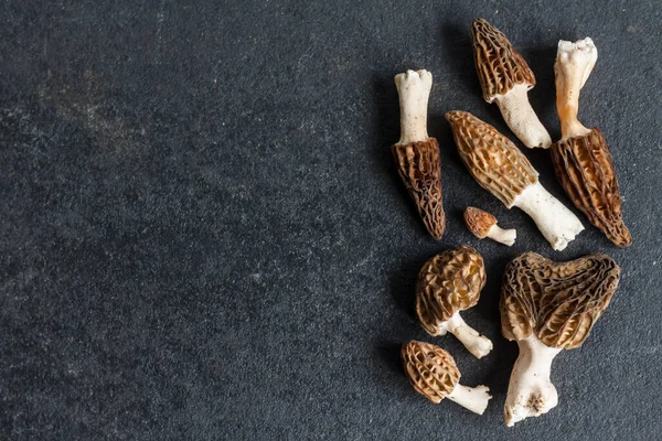 Morel mantarları siyah arkaplanda yakınlaşır. Düz Yatay