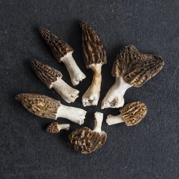 Morel mantarları siyah arkaplanda yakınlaşır. Düz Yatay