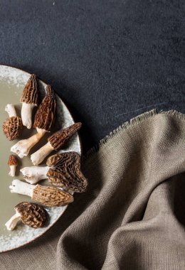 Siyah arka planda Morel mantarları. Flatlay, boşluğu kopyala