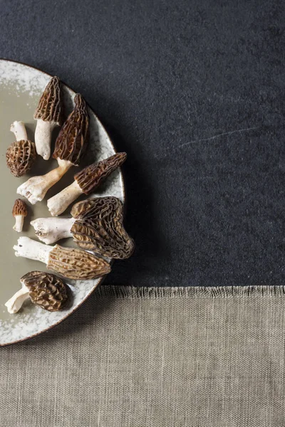 Siyah arka planda Morel mantarları. Flatlay, boşluğu kopyala