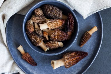 Mavi bir kasede Morel mantarları Düz yatıyordu