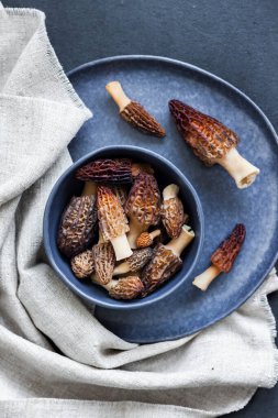 Mavi bir kasede Morel mantarları Düz yatıyordu