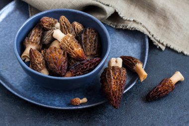 Mavi kasede Morel mantarı. Yakın çekim.  