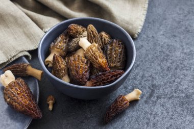 Mavi kasede Morel mantarı. Yakın çekim.  