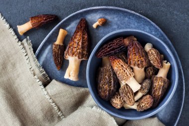 Mavi kasede Morel mantarı. Düz yatıyordu