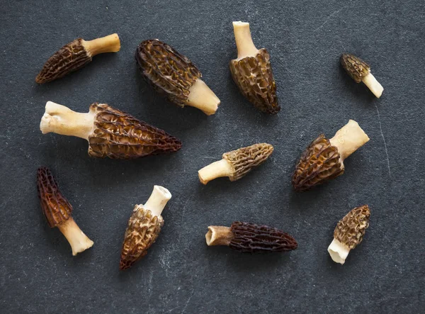 Morel mantarları koyu arkaplanda. Düz yatıyordu