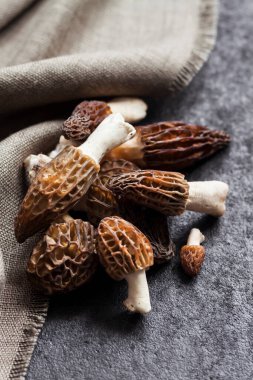 Morel mantarları siyah arkaplanda yakın plan