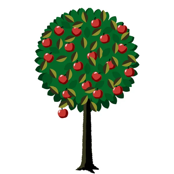 Runda Fruktträd Med Lågt Hängande Frukt — Stock vektor