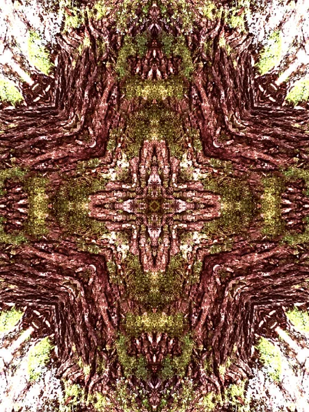 Sternrinde Kaleidoskopische Holzstruktur — Stockfoto