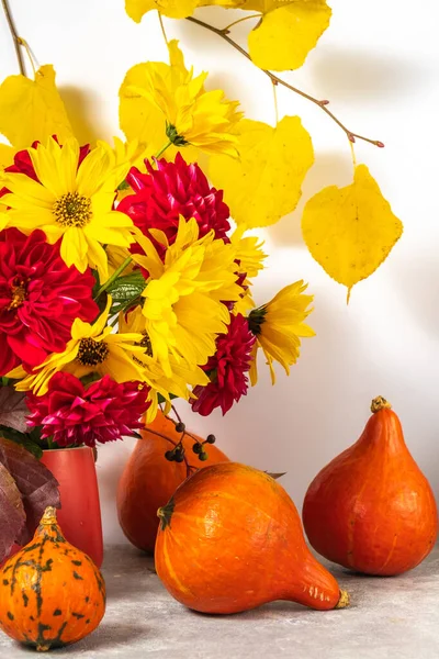 Herbststillleben Mit Kürbissen Blumen Und Gelben Herbstblättern Auf Weißem Hintergrund — Stockfoto