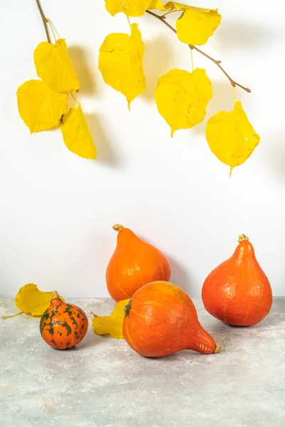 Herbststillleben Mit Kürbissen Und Gelben Herbstblättern Auf Weißem Hintergrund Konzept — Stockfoto
