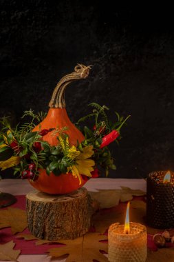 Şükran Günü konsepti. Balkabağında çiçek aranjmanı ve siyah arka planda yanan mumlar..