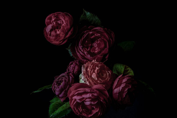 Moody flowers. bouquet of dark lilac roses on a black background. Blur and selective focus. Low key photo