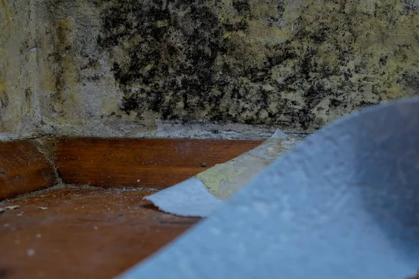 Dairedeki beton duvarda siyah küf var. Bulanık arkaplan 