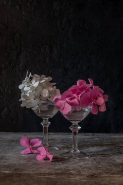 Still life. Hydrangea flowers in small glasses on a black background. Low key photo. Vertical.