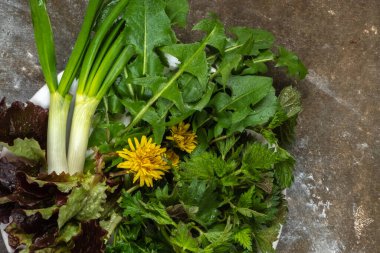 Gri beton bir arka planda bahar yeşilliği tabakasının yakın çekimi. Isırgan otu, marul yaprağı, karahindiba, yeşil soğan. Temiz yemek pişirmek. Yukarıdan görüntüle