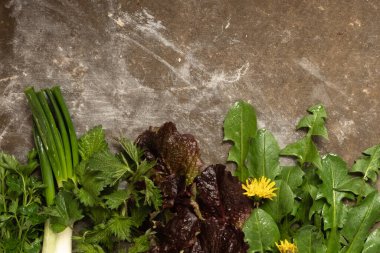 Gri beton arka planda yeşil taze bitkiler var. Isırgan, karahindiba, marul, yeşil soğan. Temiz yemek pişirmek. Yukarıdan görüntüle ve boşluğu kopyala