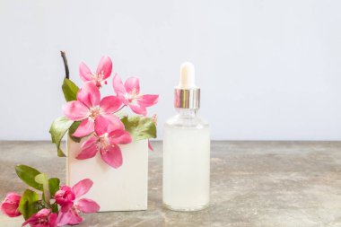 Cosmetic glass transparent bottle with dropper for hyaluronic acid. Square podium and pink cherry blossoms flowers.