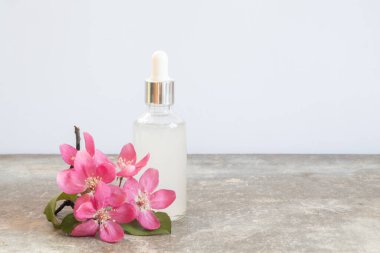 Hyaluronik asit için damlatıcıyla birlikte şeffaf bir şişe. Beyaz arka planda kare podyum, pembe ortanca ve ranunculus çiçekleri. 