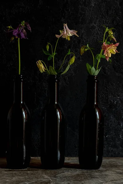 Stilleven Van Lentebloemen Aquilegium Donkere Glazen Flessen Een Zwarte Achtergrond — Stockfoto
