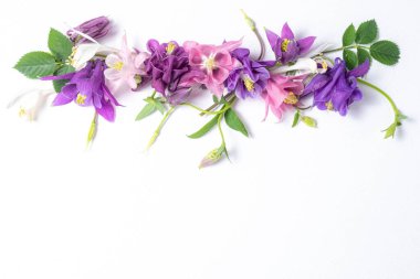 Pembe pembe çiçek deseni ve beyaz bir arka planda Akilegia 'nın leylak çiçeği. Üst manzara, düz yatış. Çiçekler kenarı ve kopyalama alanı. Çiçek arkaplanı 