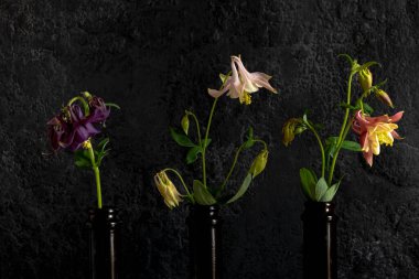 Siyah arka planda bahar çiçeklerinin dalları olan üç siyah cam şişe. Durgun hayat