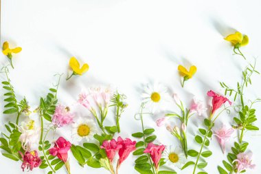 Çeşit çeşit kır çiçekleri ve otlardan yapılmış çiçek düzlükleri. Yaz festivali geçmişi. Boşluğu kopyala