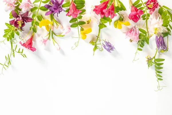 Kır çiçekleri ve bitkilerle dolu bir hudut. Yaz festivali geçmişi. Boşluğu ve düzlüğü kopyala. en üstteki görünüm