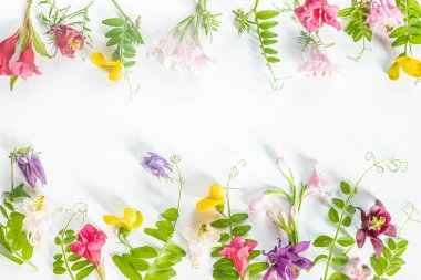 Çeşitli kır çiçekleri ve otlarla süslenmiş çiçek deseni. Yaz festivali geçmişi. Üst Manzara. Boşluğu ve düzlüğü kopyala