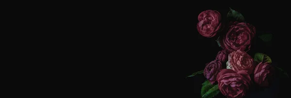 バナーだ ムーディーの花 黒を背景にバラバーガンディ ぼかしと選択的フォーカス キーの低い写真 スペースのコピー — ストック写真