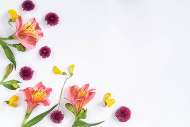 Festive floral background. corner composition from colorful flowers on a white background isolated. Top view, flat lay. room for text