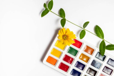 Suluboya beyaz bir çarşafın üzerindeki bir kutuda boyanıyor. Sarı çiçek ve yaprak dalı. Yaratıcılık ve doğayla bağlantı kavramı. Düz yat ve boşluğu kopyala