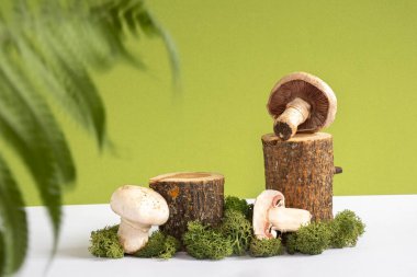 Doğal stil. Yeşil arkaplanda yeşil yosun ve mantarlı ahşap podyumlar. Ürün sunumu için hala hayat var. Doğal kozmetik ürünleri için bulanık önplan görüntüsü. 