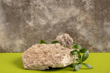 Doğal stil. Çimento zemininde yeşil yapraklar olan taş bir podyum. Kozmetik ürünlerin sunumu için hala hayat var. Boşluğu kopyala.