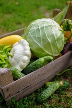 Sebzeleri çimlerin üzerindeki tahta bir kutuda kapat. Bulanık ve seçici odaklanma