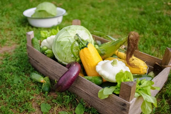 Farm multicolored vegetables in a wooden box on the grass. Blur and selective focus. Harvest and veganuary concept