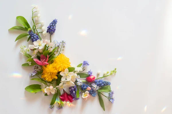 Corner flower flat lay from different wildflowers on a white background. Beautiful light reflections. Top view and copy space