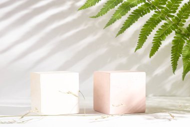 Cosmetic background with geometric shapes. Two cubes and green branch. Mockup for demonstrating cosmetic products. Showcase and copy space