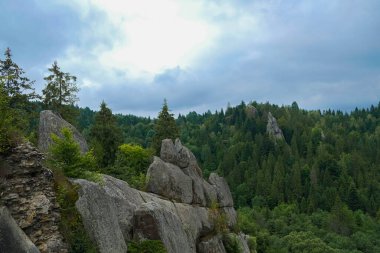 Rocks on the site of the old Carpathian fortress Tustan - archaeological and natural monument of Ukraine. National natural park Lviv region. Blur and selective focus