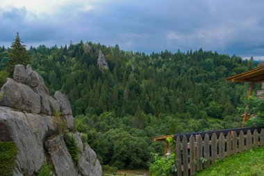 Carpathian forest and rocks on the site of the ancient fortress Tustan. archaeological and natural monument of Ukraine. Blur and selective focus