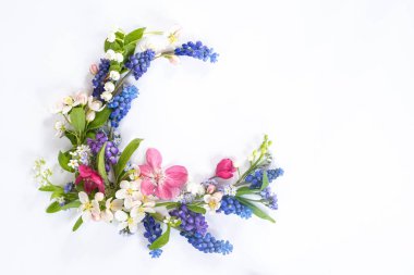 Round flower layout from different wildflowers on a white background. Top view and copy space. Mockup for advertising cosmetics. 
